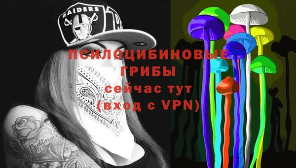 дмт Алексеевка
