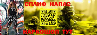 сатива Бугуруслан