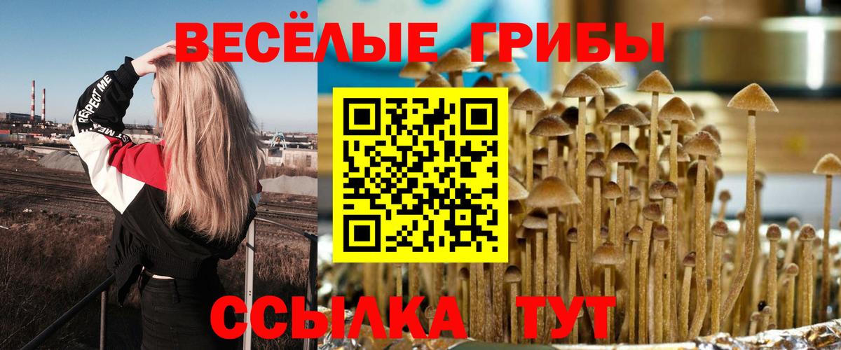 Галлюциногенные грибы мухоморы  Псилоцибиновые грибы ЛСД  Воткинск  Вход с VPN 